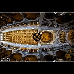 IMG_7135-1