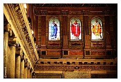 IMG_6981