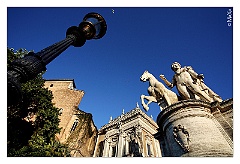 IMG_7766
