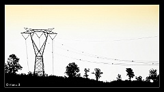 IMG_4292a