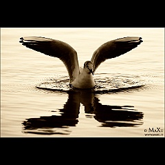 IMG_2760