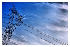 IMG_3561
