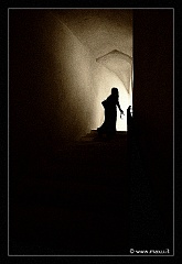 IMG_7349