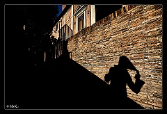 IMG_7705