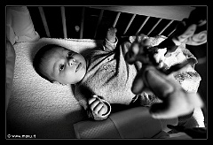 IMG_9632