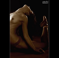 MAXU3656