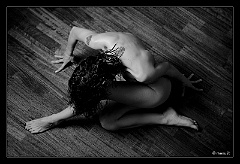 IMG_4684